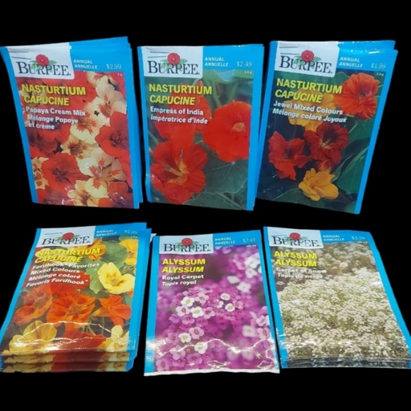 Flower Seeds Choose 10 for $20.00 - Picture 4 of 10